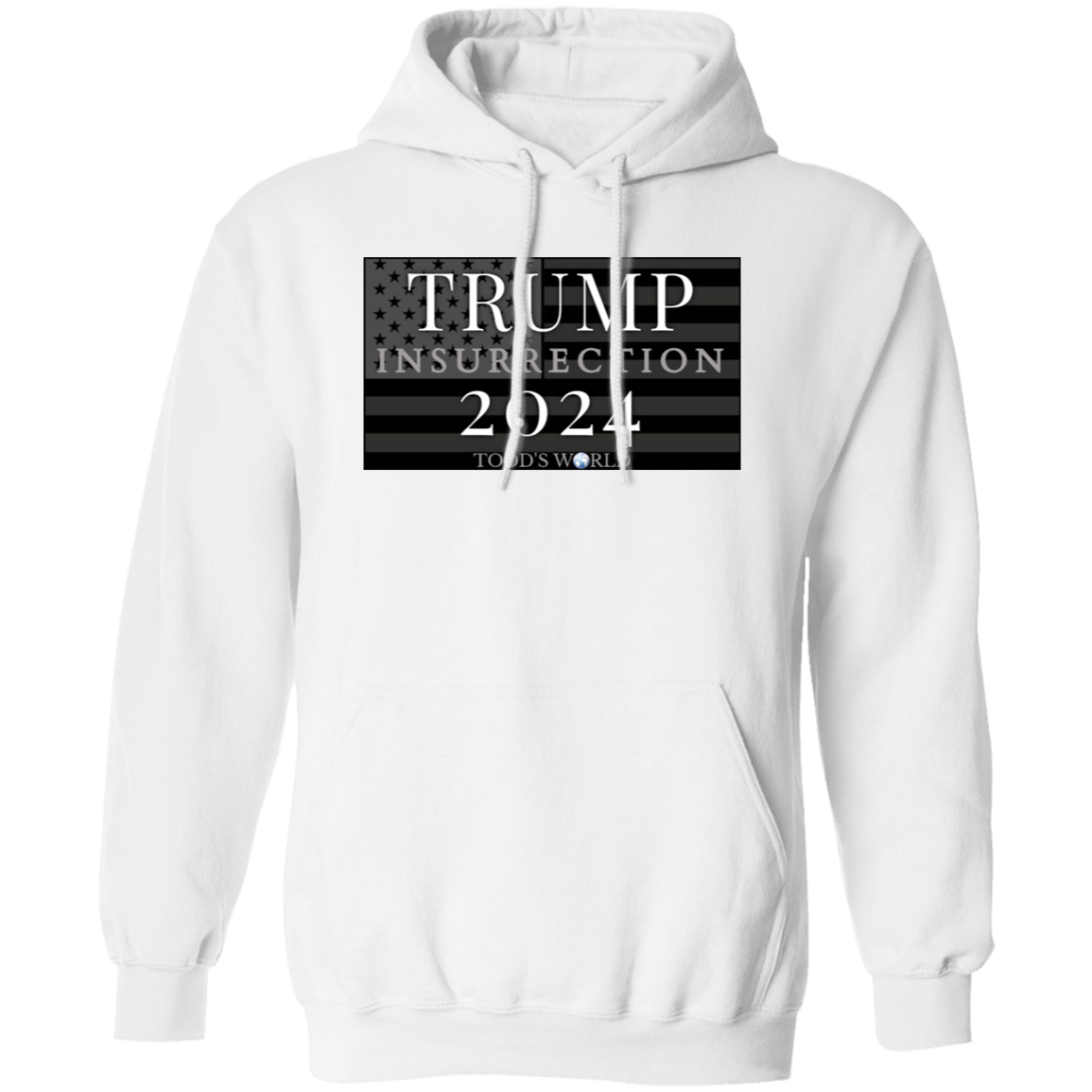 TRUMP 2024 Insurrection Pullover Hoodie