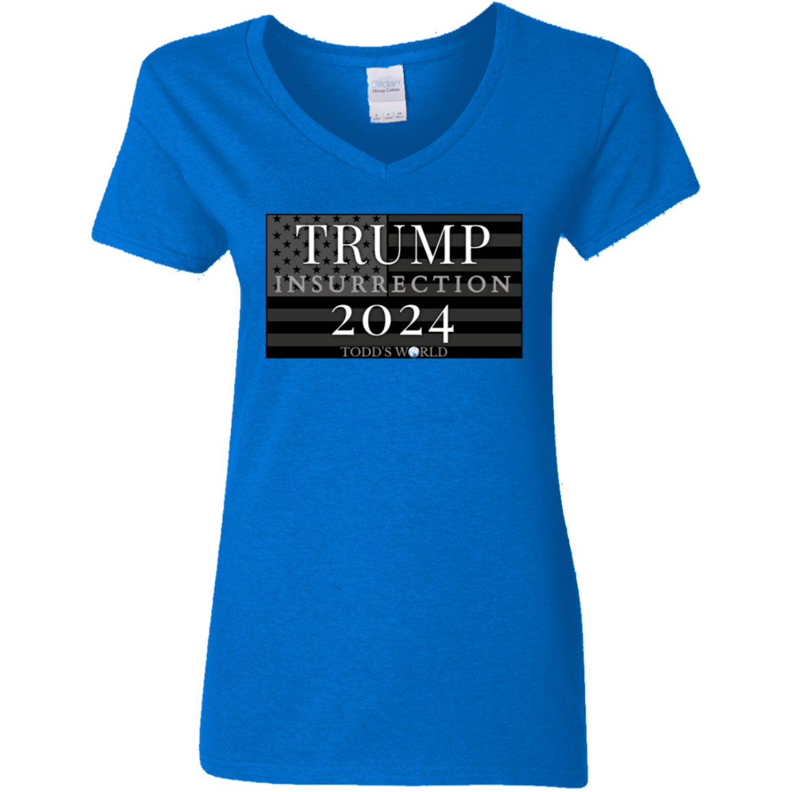 TRUMP 2024 insurrection Ladies' 5.3 oz. V-Neck T-Shirt